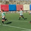 Leva 2016